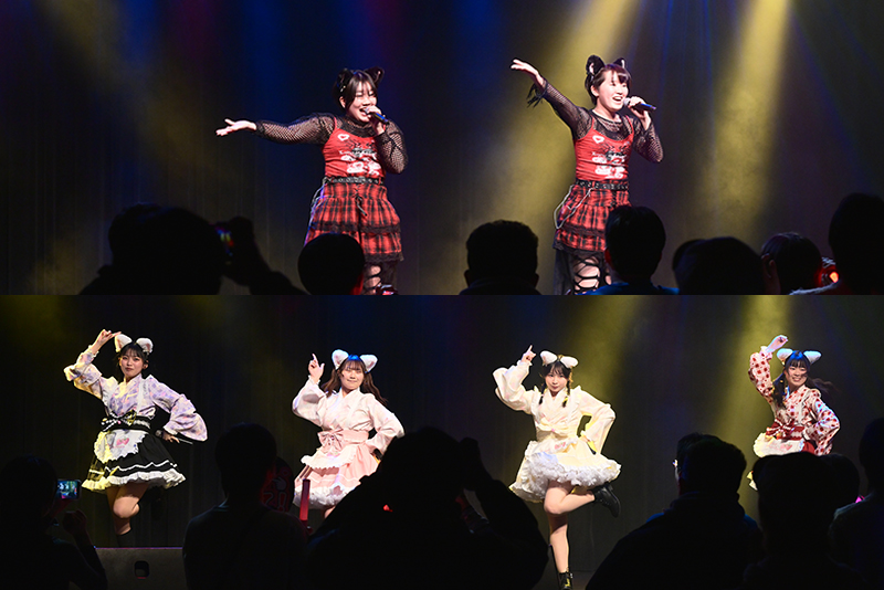 <p>dreaming cats</p>